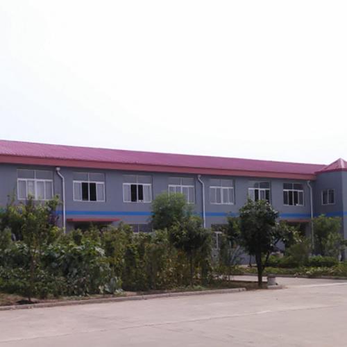 Company Scene
